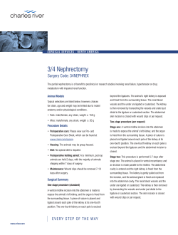 3/4 Nephrectomy - Charles River Laboratories