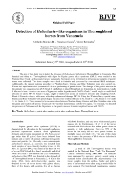 Detection of Helicobacter-like organisms in Thoroughbred horses