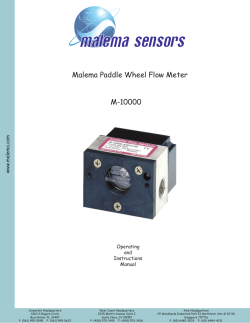 Malema Paddle Wheel Flow Meter M-10000