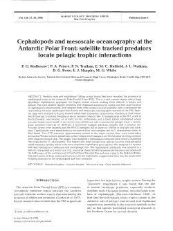 Cephalopods and mesoscale oceanography at the Antarctic Polar