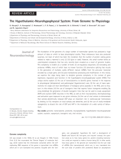 The Hypothalamic-Neurohypophyseal System