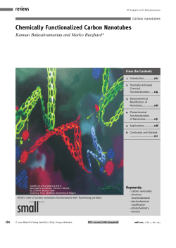 Chemically Functionalized Carbon Nanotubes