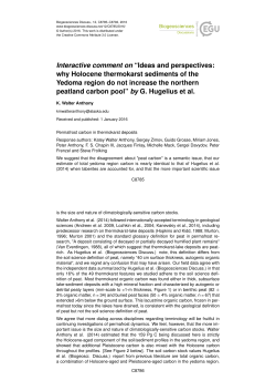 Printer-friendly Version