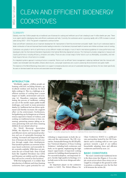 Clean and Efficient Bioenergy Cookstoves Factsheet