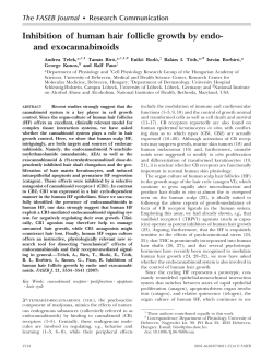 Inhibition of human hair follicle growth by endo