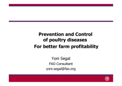 Prevention and Control of poultry diseases For better farm profitability
