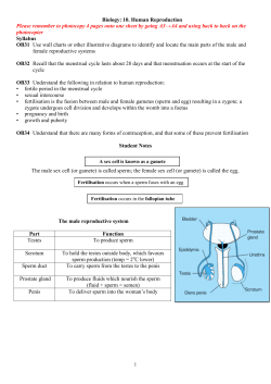 10. Human Reproduction