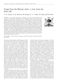 to the complete text - David Moore`s World of Fungi