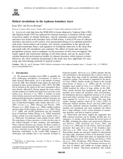 Helical circulations in the typhoon boundary layer