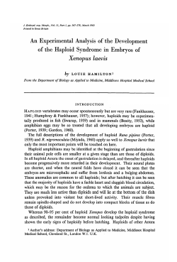 An Experimental Analysis of the Development of the Haploid