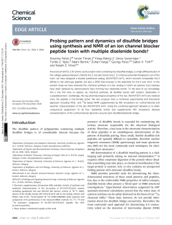 Probing pattern and dynamics of disulfide bridges
