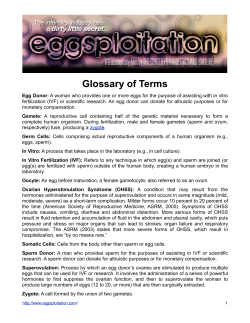 Eggsploitation Glossary