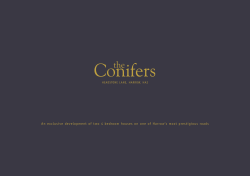 the Brochure Now