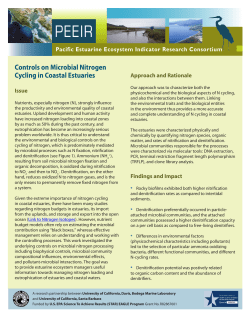 Nitrogen Cycling - UC Davis Bodega Marine Laboratory