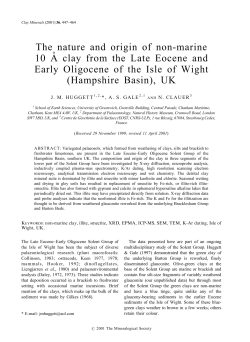 The nature and origin of non-marine 10 A˚clay from the