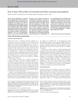 Role of factor XIII in fibrin clot formation and effects