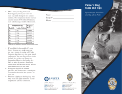 Parker`s Dog Facts and Tips