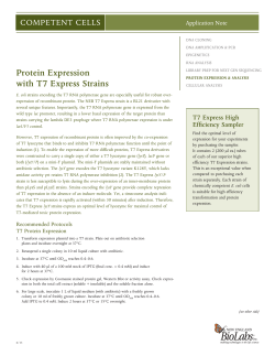 Protein Expression with T7 Express Strains