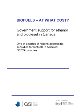 BIOFUELS - AT WHAT COST? Government support for ethanol and