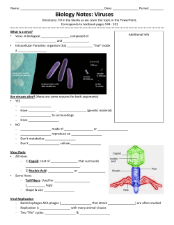 Biology Notes: Viruses
