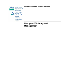 Nitrogen Efficiency and Management