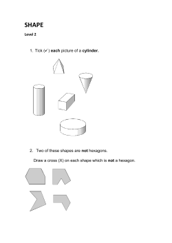 Level 2 1. Tick ( ) each picture of a cylinder. 2. Two of these shapes