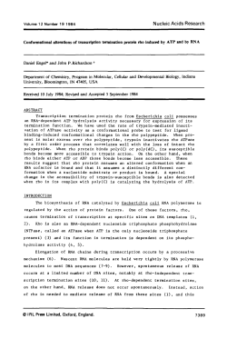 Conformationsl alterations of transcription termination protein rho
