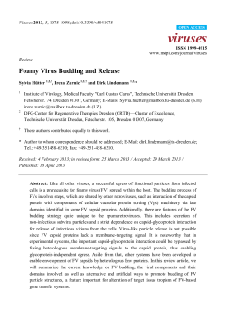 Foamy Virus Budding and Release