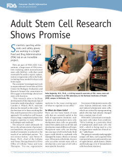 Adult Stem Cell Research Shows Promise - Progetto e
