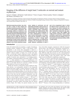 Imaging of the diffusion of single band 3 molecules on normal and