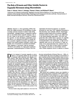 The Role of Kinesin and Other Soluble Factors in Organelle