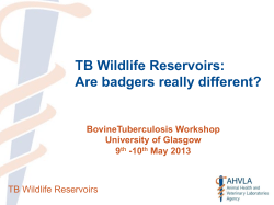 TB Wildlife Reservoirs: Are badgers really