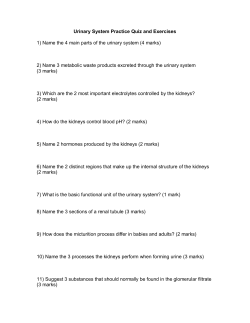 Urinary System Practice Quiz and Exercises 1) Name the 4