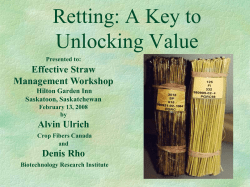 Retting: A Key to Unlocking Value