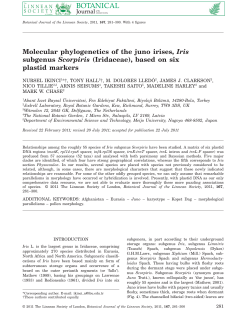 Molecular phylogenetics of the juno irises, Iris subgenus Scorpiris