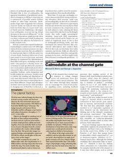News and Views - Stanford University
