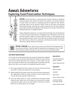 Anna`s Adventures - Jamestown