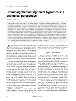 Examining the floating forest hypothesis