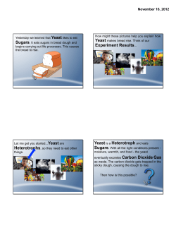 Experiment Results... Yeast is a Heterotroph and eats