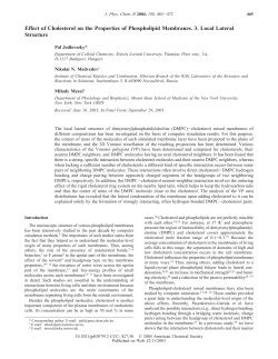 Effect of Cholesterol on the Properties of Phospholipid Membranes