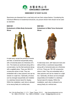 Embedment of Body Slices