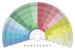 9 Generation Fan Pedigree Chart