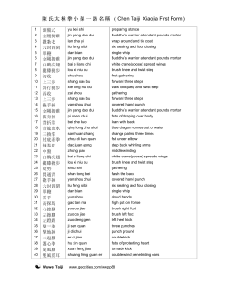 陳氏太極拳小架一路名稱( Chen Taiji Xiaojia First Form )