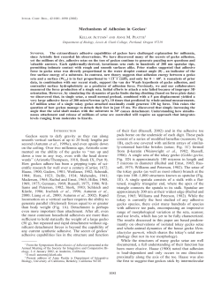 Mechanisms of Adhesion in Geckos1