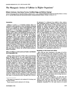 The Mutagenic Action of Caffeine in Higher Organisms1