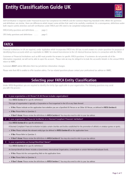 Business Entity Classification Guide