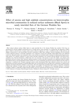 Effect of anoxia and high sulphide concentrations on heterotrophic