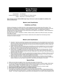 Market Lamb Classification Guidelines and Rules
