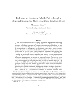 Evaluating an Investment Subsidy Policy through