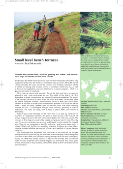 Small level bench terraces